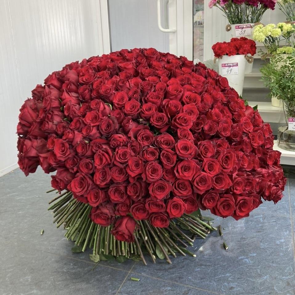 Букеты из красных роз 80 см (Эквадор) код товара  204828