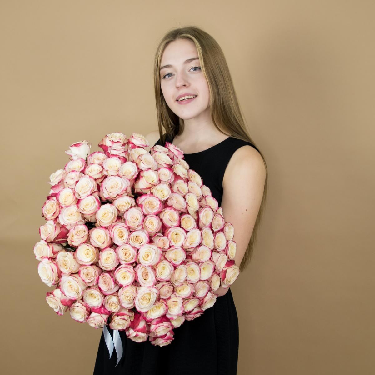 Розы красно-белые (40 см) Эквадор артикул  507
