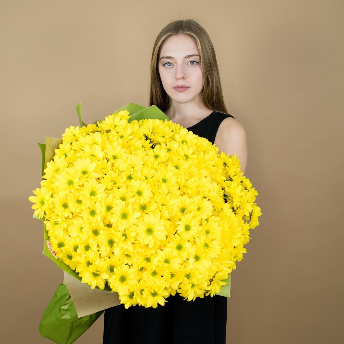Хризантема кустовая желтая (Артикул  93457)