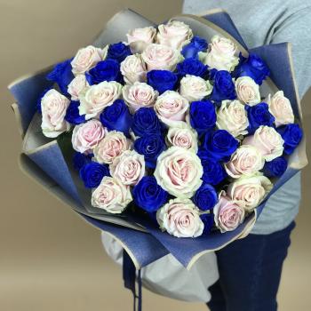 Белая и Синяя Роза 51шт 70см (Эквадор) (№: 115934)